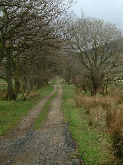 Track across farmland