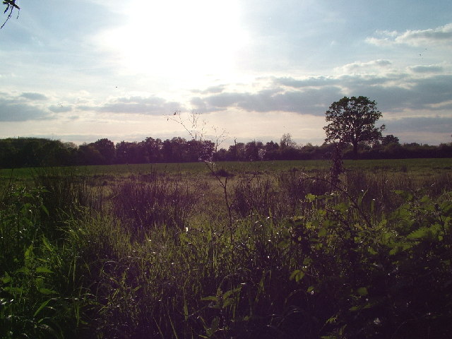 Thurley fields clearance of