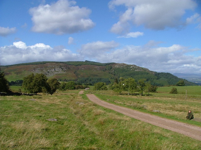 Tomgarrow looking north towards Craigvinean