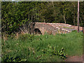 Craigmoston Bridge by Fasque House