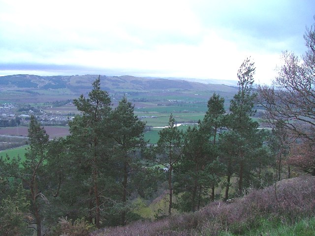 Moncreiffe Hill looking south