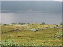 NG8736 : Loch Carron by Richard Webb