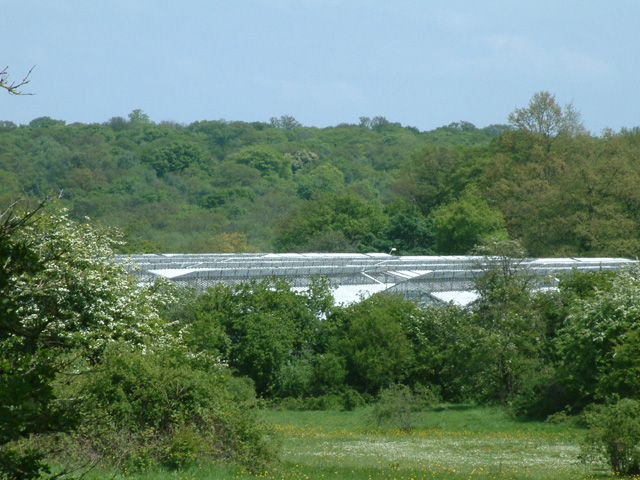 Greenhouses at Crews Hill