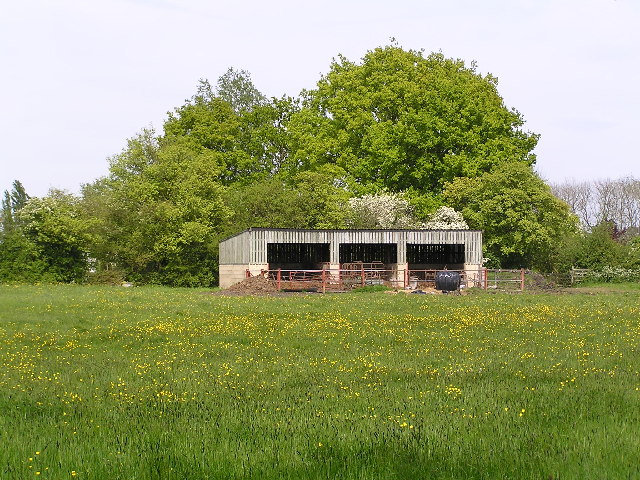 Old cattle shed near Stockwood lodge Farm.
