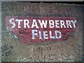 Strawberry Field