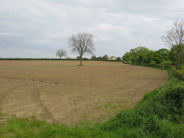 Field just north of Easingwold