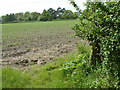 Farmland, North Kingston