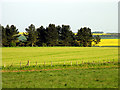 Farmland, Gallops and Abbots Heath