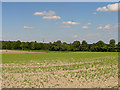 Farmland near East Hendred