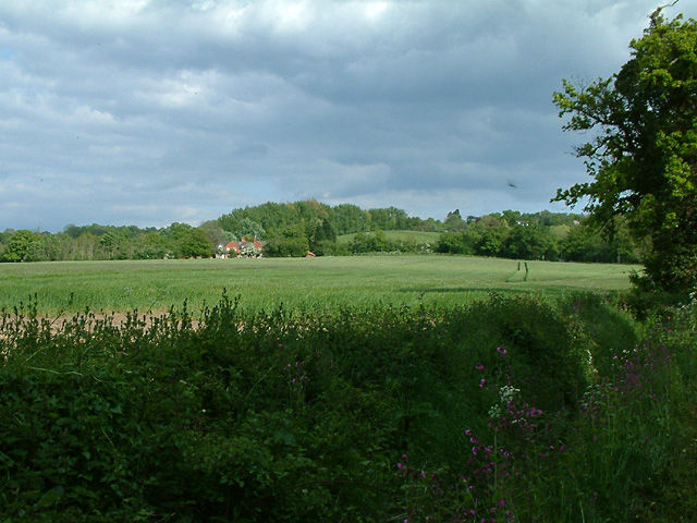 Field by Aveylane Farm