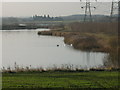 Willow Grove Farm across Methley Mires