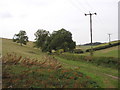 Bridle path at Wauldby Scrogs