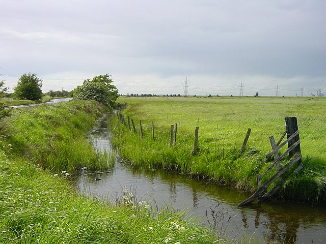 Ferry Marshes