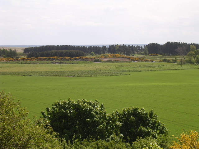 View from Ashbank, near Monifieth