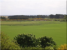 NO5033 : View from Ashbank, near Monifieth by Val Vannet