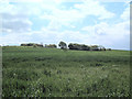 Farmland to the west of Bispham Hall - Billinge