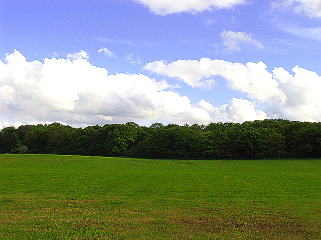 Farmland near Yattendon