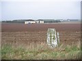 Old hangars, High Ercall