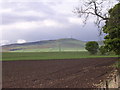 Craigowl Hill  (455m) on the Sidlaws