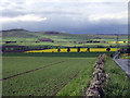 Craigowl Hill (455m) and the eastern Sidlaws