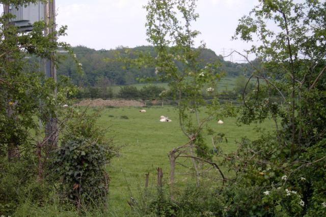 Fields near Farmoor