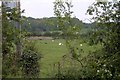 Fields near Farmoor