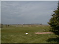 Felixstowe Golf Course