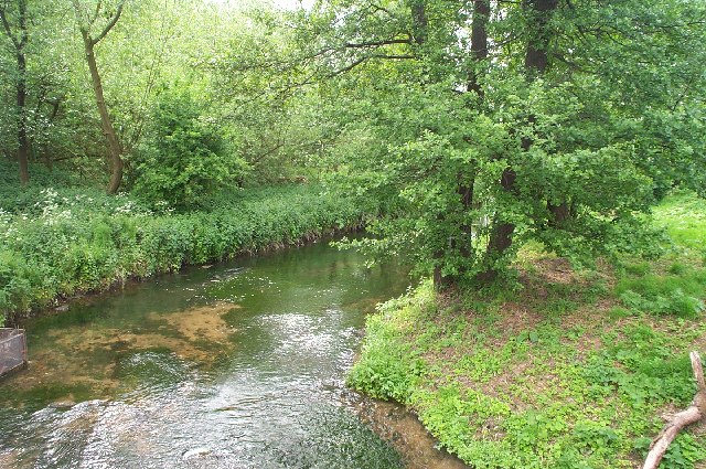 River Meden, Warsop