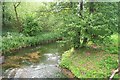 River Meden, Warsop