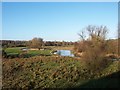 Itchen water meadows, near Winchester