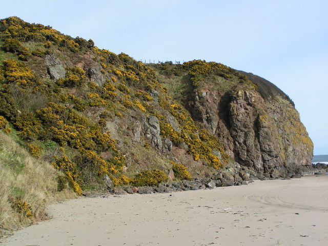 Cliffs at North end of Lunan Bay