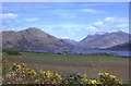 NM9443 : Looking towards Loch Creran and Ben Sgulaird by Anne Burgess