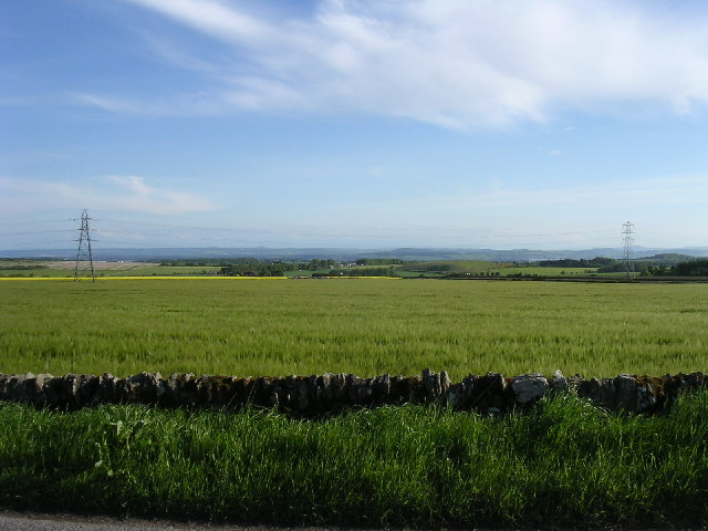 Barley fields south of Husbandtown