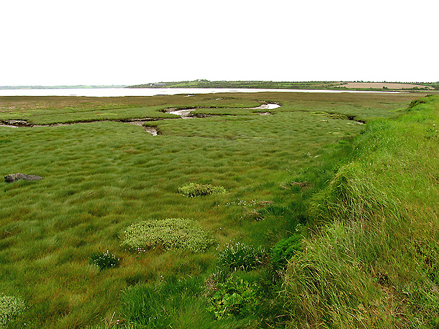 Silted area © Pam Brophy :: Geograph Britain and Ireland