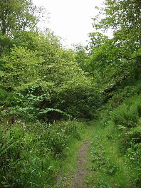 Dunskey Glen, near Portpatrick