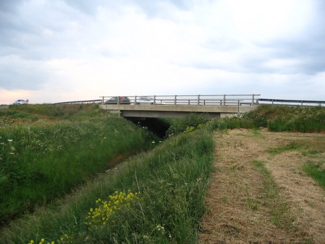 A16 Bridge across SSSI
