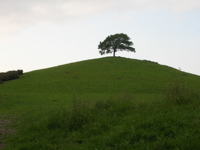 Burrow Hill, near Kingsbury Episcopi