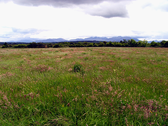 Countryside on the R561 near Boolteens