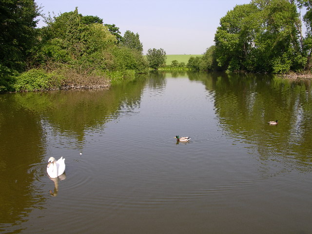 Coldhill Pond