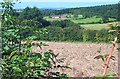 Beauvale Abbey Farm