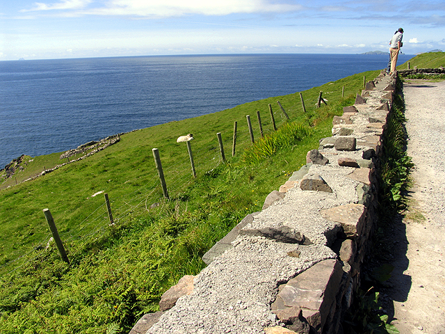 Steep Pasture at the viewpoint on the Slea Head Peninsula