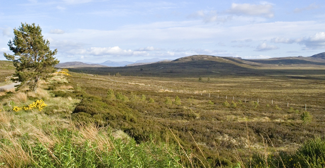 Open Moorland south of Dunearn