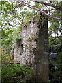 Staups Mill and waterfall, Jumble Hole Clough