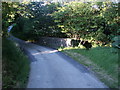 Bridge, Bryngwyn