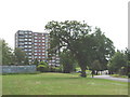 Ridding Lane Open Space, Sudbury, with flats beyond