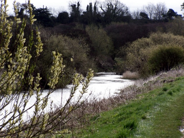 River Aln