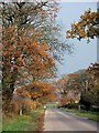 Wetheral Pasture