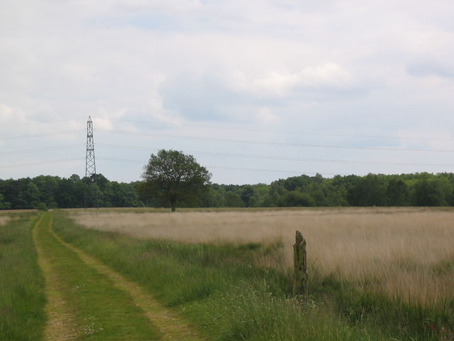 Grassland, north of Baddesley Common