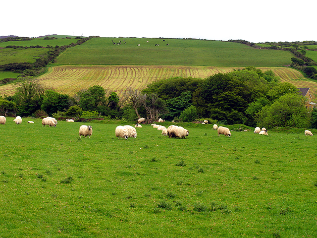 A farming area. Irish pastures.