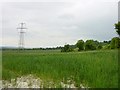 Looking west from Fox Farm Cottages, Coldblow Lane